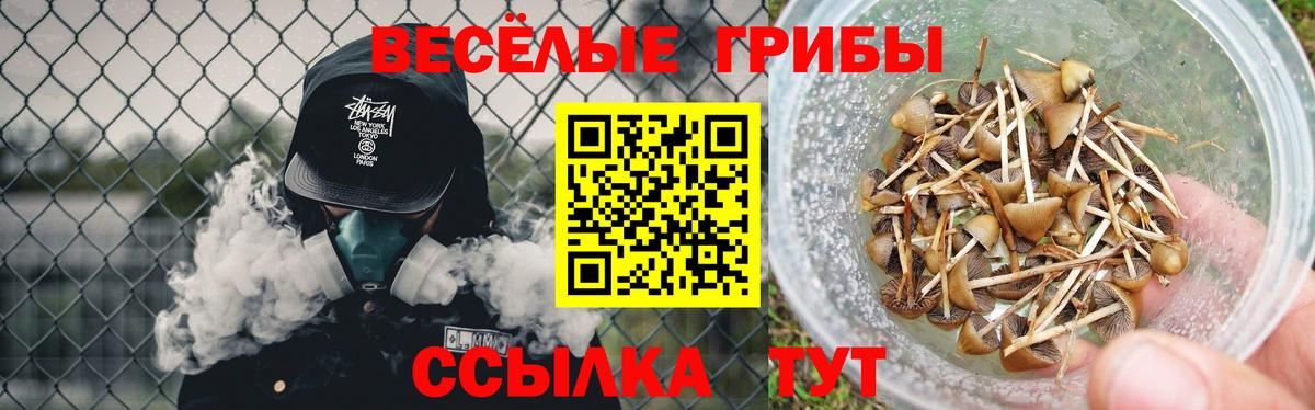 Энгельс  Псилоцибиновые грибы GOLDEN TEACHER  Вход с VPN  Галлюциногенные грибы GOLDEN TEACHER 